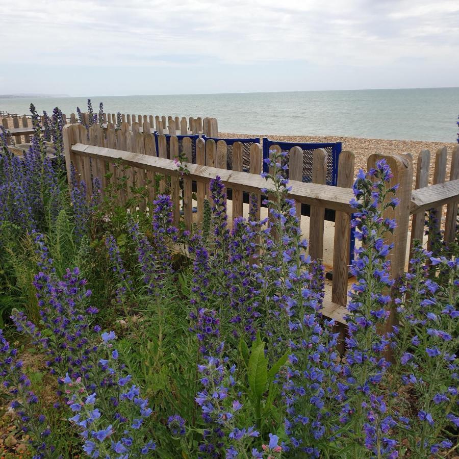 Beachfront Studio Pevensey Eksteriør bilde